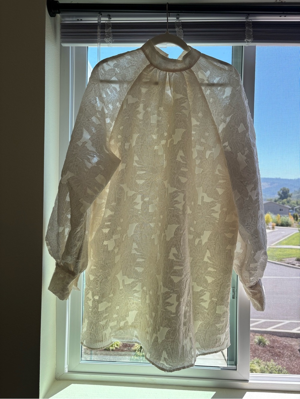 Sheer Ivory Lace dress with High Neck